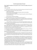 Câu hỏi ôn tập môn quản lý nhà nước