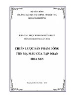 Chiến lược sản phẩm dòng tôn mạ màu của tập đoàn tôn hoa sen tại việt nam giai đoạn 2009-2013