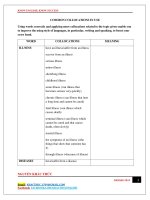 Common collocations in use