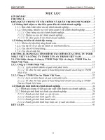 Tìm hiểu và đánh giá tình hình tài chính của công ty tnhh nhật việt và công ty tnhh tân an thịnh việt nam