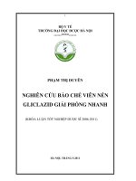 Nghiên cứu bào chế viên nén gliclazid 80mg giải phóng nhanh