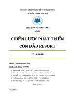 Tiểu luận CHIẾN lược PHÁT TRIỂN côn đảo RESORT 2015 2020 