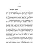 Quá trình thực hiện chiến lược đại đoàn kết hồ chí minh trong kháng chiến chống thực dân pháp xâm lược (1945 1954)