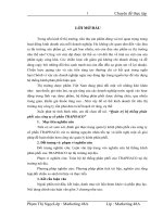 Quản trị hệ thống phân phối của công ty cổ phần TRAPHACO