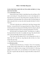 Báo cáo thực tập tổng hợp tại chi cục định canh định cư và vùng kinh tế mới hoà bình