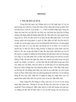 Vấn đề nhận thức luận qua sự phân tích đối tượng của toán học