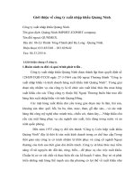 Báo cáo thực tập tổng hợp tại công ty xuất nhập khẩu quảng ninh