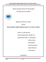 HOẠT ĐỘNG NHÓM TRONG QUẢN lý CHẤT LƯỢNG 