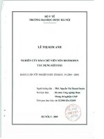 Nghiên cứu bào chế viên nén ibuprofen tác dụng kéo dài