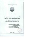 Xây dựng phương pháp định lượng đồng thời một số vitamin tan trong nước hay gặp bằng điện di mao quản