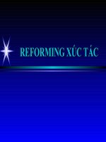 Chapter 7  reforming