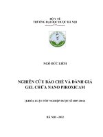 Nghiên cứu bào chế và đánh giá gel chứa nano piroxicam