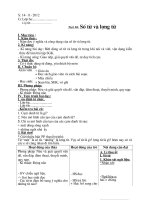 Bài giảng điện tử: Số từ và lượng từ