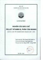Nghiên cứu bào chế pellet vitamin b1 phân tán nhanh