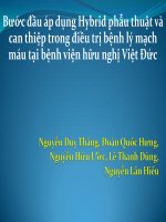 Bước đầu áp dụng hybrid phẫu thuật và can thiệp trong điều trị bệnh lý mạch máu tại bệnh viện hữu nghị việt đức
