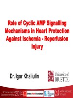 Role of cyclic AMP signalling mechanisms in heart protection against ischemia   reperfusion injury