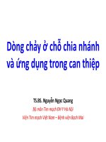 Dòng chảy ở chỗ chia nhánh và ứng dụng trong can thiệp