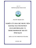 Nghiên cứu bào chế thuốc tiêm đậm đặc hai thành phần sulfamethoxazol và trimethoprim để truyền tĩnh mạch