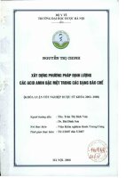 Xây dựng phương pháp định lượng các acid amin bậc một trong các dạng bào chế