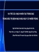 VAI TRÒ của MẠCH NHÂN tạo TRÁNG bạc TRONG điều TRỊ BỆNH MẠCH máu NGUY cơ NHIỄM TRÙNG