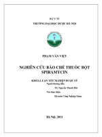 Nghiên cứu bào chế thuốc bột spiramycin