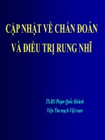 CẬP NHẬT về CHẨN đoán và điều TRỊ RUNG NHĨ