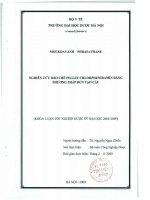Nghiên cứu bào chế pellet chlorpheniramin bằng phương pháp đùn tạo cầu