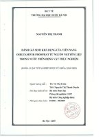 Đánh giá sinh khả dụng của viên nang oseltamivir phosphat từ nguồn nguyên liệu trong nước trên động vật thực nghiệm