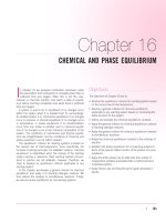Chapter 16 CHEMICAL AND PHASE EQUILIBRIUM