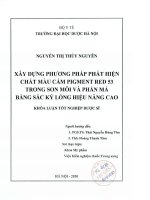 Xây dựng phương pháp phát hiện chất màu cấm pigment red 53 trong son môi và phấn má bằng sắc ký lỏng hiệu năng cao