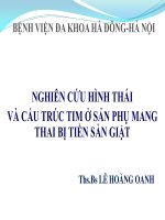 NGHIÊN cứu HÌNH THÁI và cấu TRÚC TIM ở sản PHỤ MANG THAI bị TIỀN sản GIẬT