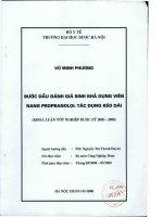 Bước đầu đánh giá sinh khả dụng viên nang propranolol tác dụng kéo dài