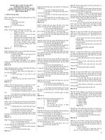 Đề thi trắc nghiệm đào tạo công chức ngành thuế