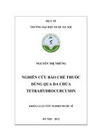 Nghiên cứu bào chế thuốc dùng qua da chứa tetrahydrocurcumin