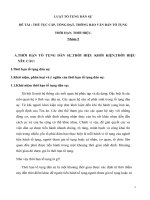 Tiểu luận thủ tục cấp tống đạt, thông báo văn bản tố tụng