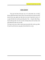 Đồ án nghiên cứu tính ứng xử của vật liệu trực hướng