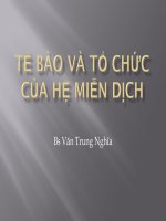 Bài giảng tế bào và tổ chức hệ miễn dịch đặc hiệu 