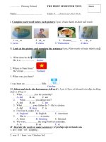 Thi HKI tiếng anh lớp 5 (1) 