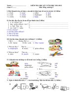 Kiểm tra HKI tiếng anh lớp 5 