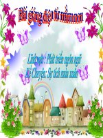 Bài giảng điện tử mầm non lớp Chồi đề tài Sự tích mùa xuân