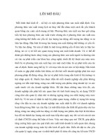 Báo cáo hoạch toán tài sản cố định trong HABECO