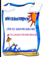 Bài giảng điện tử mầm non lớp Chồi đề tài Khám phá khoa học: Nghề làm vườn