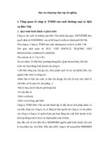 Hạch toán chi phí sản xuất và tính giá thành sản phẩm tại công ty TNHH sản xuất, thương mại và dịch vụ đức việt