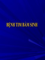 Bài giảng bệnh tim bẩm sinh ở trẻ nhỏ 