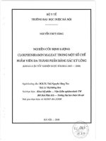 Nghiên cứu định lượng clorphenramin maleat trong một số chế phẩm viên đa thành phần bằng sắc ký lỏng
