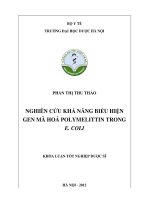 Nghiên cứu khả năng biểu hiện gen mã hóa polymelittin trong e coli