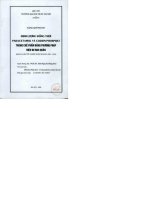 Định lượng đồng thời paracetamol và codein phosphat trong chế phẩm bằng phương pháp điện di mao quản