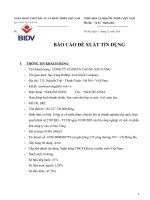 báo cáo đề xuất tín dụng