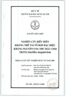 Nghiên cứu biểu hiện kháng thể tái tổ hợp đặc hiệu kháng nguyên ung thư máu CD 20 trong bacillius megaterium