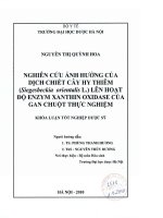 Nghiên cứu ảnh hưởng của dịch chiết cây hy thiêm (siegesbeckia orientalis l ) lên hoạt độ enzym xathin oxidase của gan chuột thực nghiệm